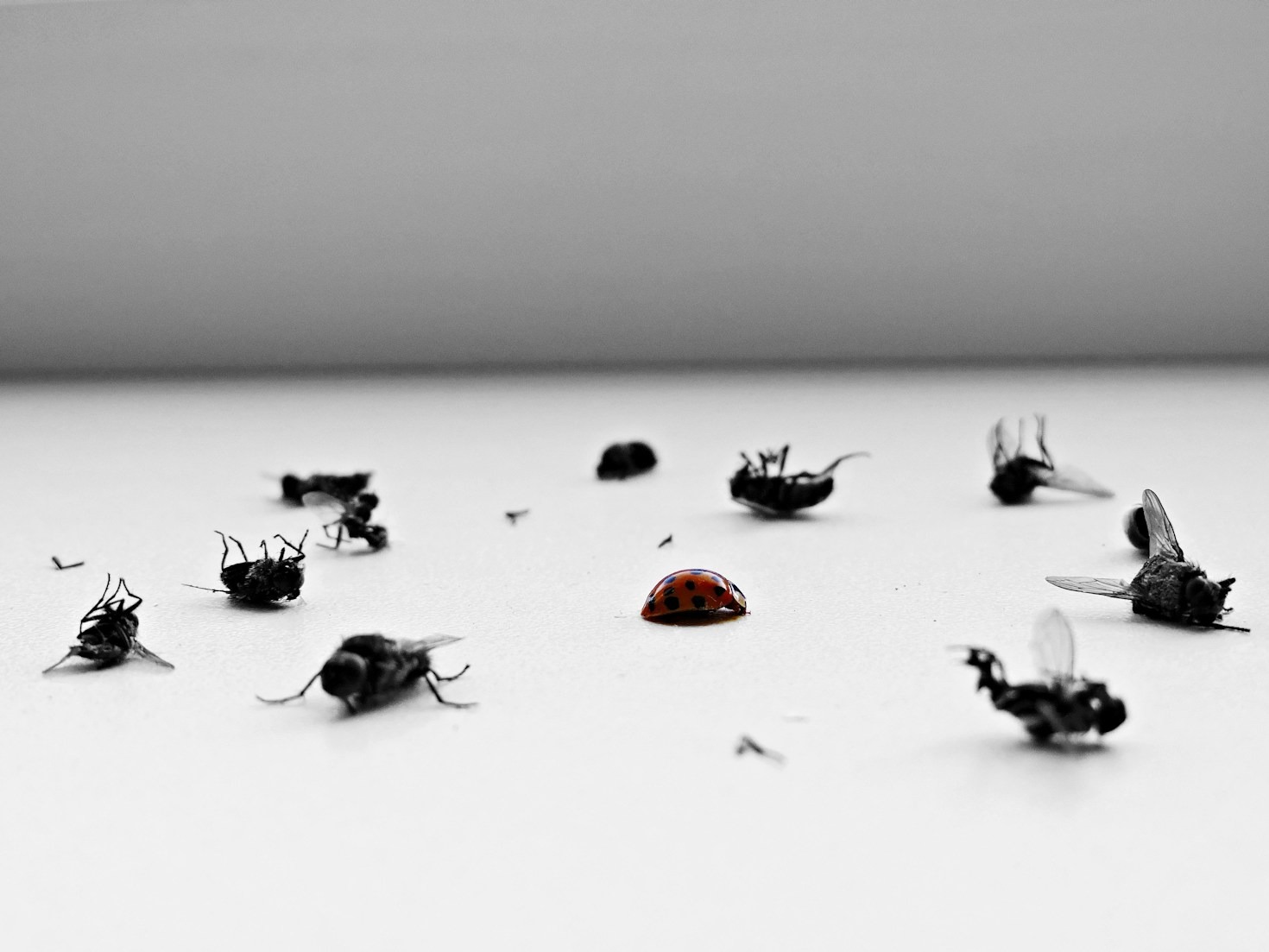 Impactos Ambientais do Controle de Pragas: O que Saber